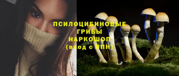 мдпв Надым