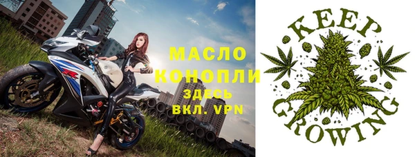 мдпв Надым