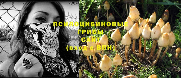 молекула духа Наволоки