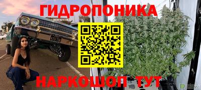 не бодяженный Жуковский