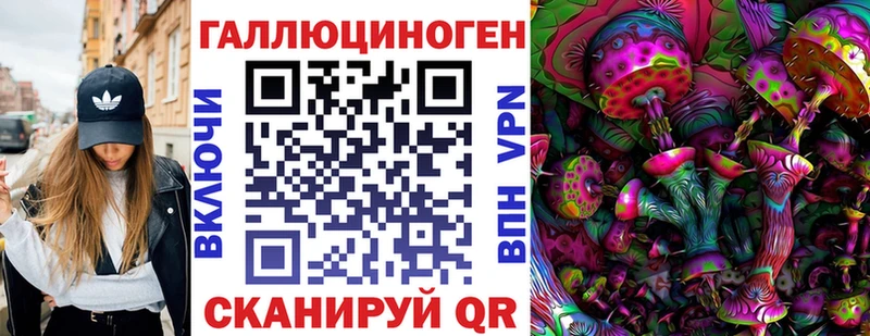 Псилоцибиновые грибы MAGIC MUSHROOMS  продажа наркотиков  Якутск 