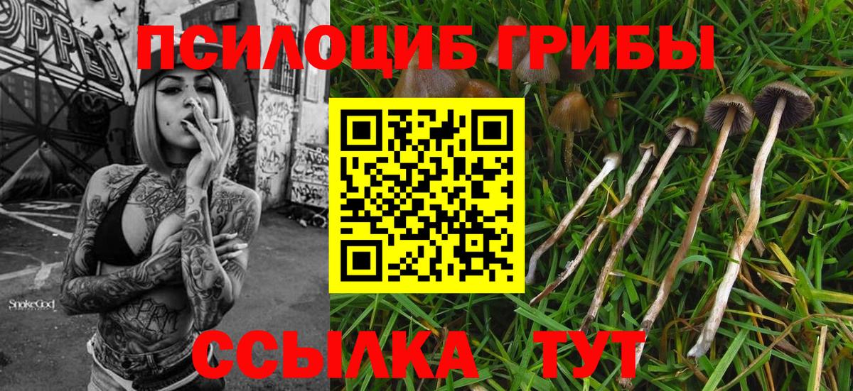 Псилоцибиновые грибы GOLDEN TEACHER Якутск